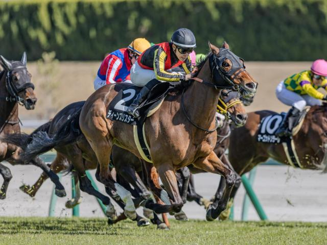 【先週のJRA抹消馬】全きょうだいにGI馬が2頭いるディーンズリスター、オークス馬の仔スタードメイソンなど