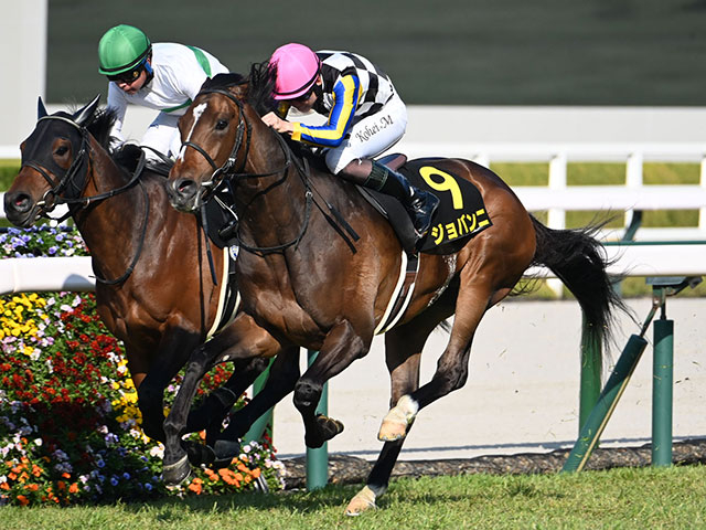 【チャレンジC想定騎手】ジョバンニは松山弘平騎手、マテンロウゲイルは横山和生騎手