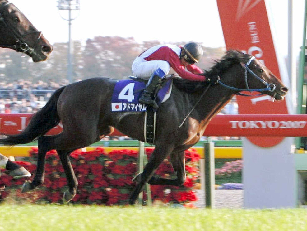 アドマイヤムーン死す　国内外でＧ１・３勝、０７年の年度代表馬に輝く