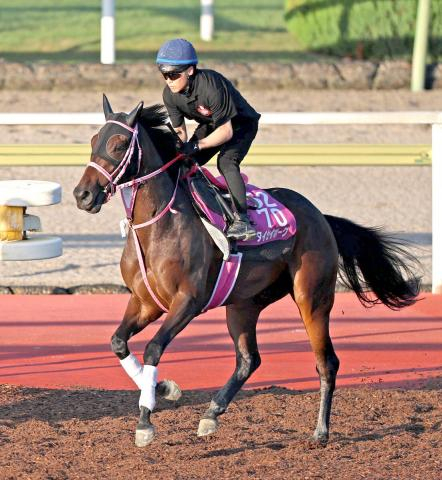 【ローズS・松ケ下の特注馬】復帰戦でもタイセイボーグに期待　1週前追いからは不安なし