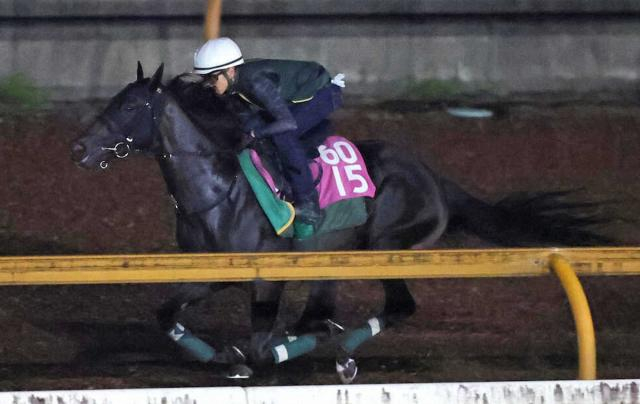 【ローズS】モンローウォーク　重賞初挑戦　上村師は能力評価「レースセンスがいい」