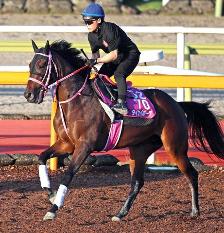 【ローズS】骨折明けでも1週前追い切りで猛時計　タイセイボーグが再び頂点目指す