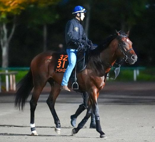 【セントライト記念】ゴーイントゥスカイ　右回り対策着々「緩さも徐々に解消されてきた」