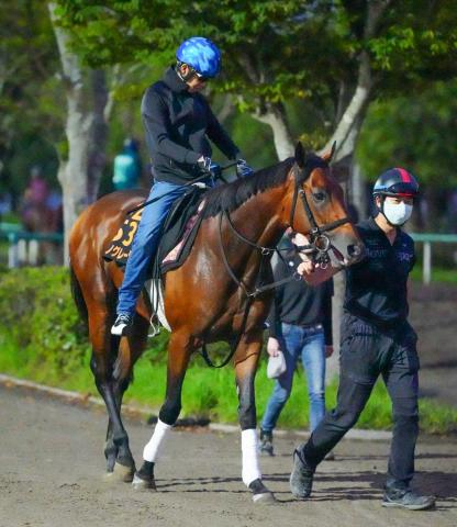 【セントライト記念】サノノグレーター　高速馬場は歓迎　尾形師「いい夏休みが取れた」
