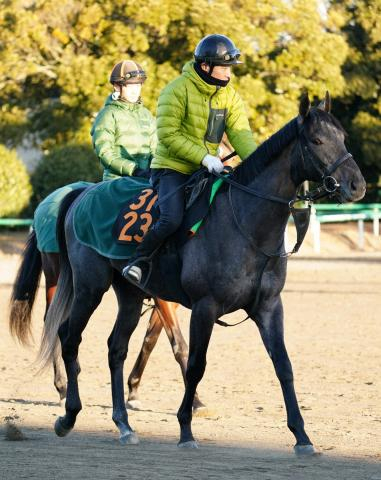 【セントライト記念】エリプティクカーブ　権利獲り燃える「暑さにバテている様子もない」