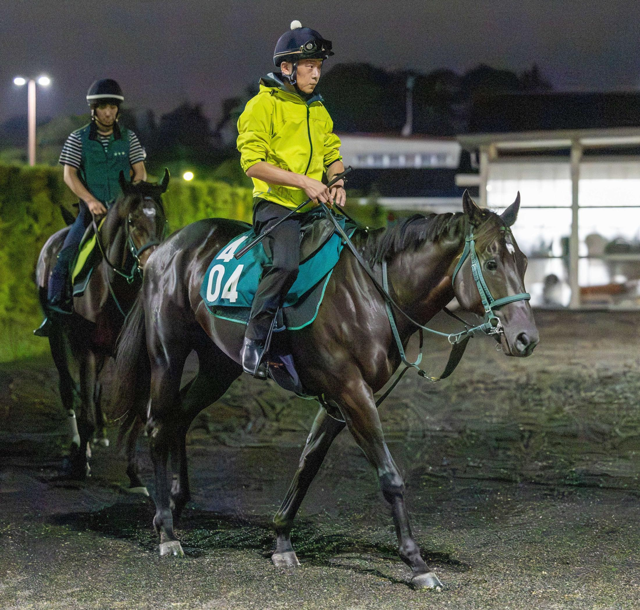 【新馬戦】キリマンジェロタフ　筋骨隆々５２０キロ超　雄大なフットワークが魅力