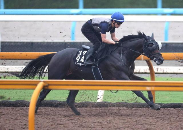 【セントライト記念】ダービー3着バステールは「見た感じで分かる」成長を実感も…斉藤崇調教師「物足りなさ」指摘
