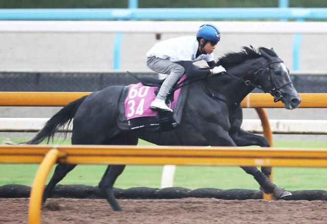 【ローズS】アンジュドジョワは新コンビの北村友一騎手騎乗で力強い伸び　福永調教師「動ける状態にはある」