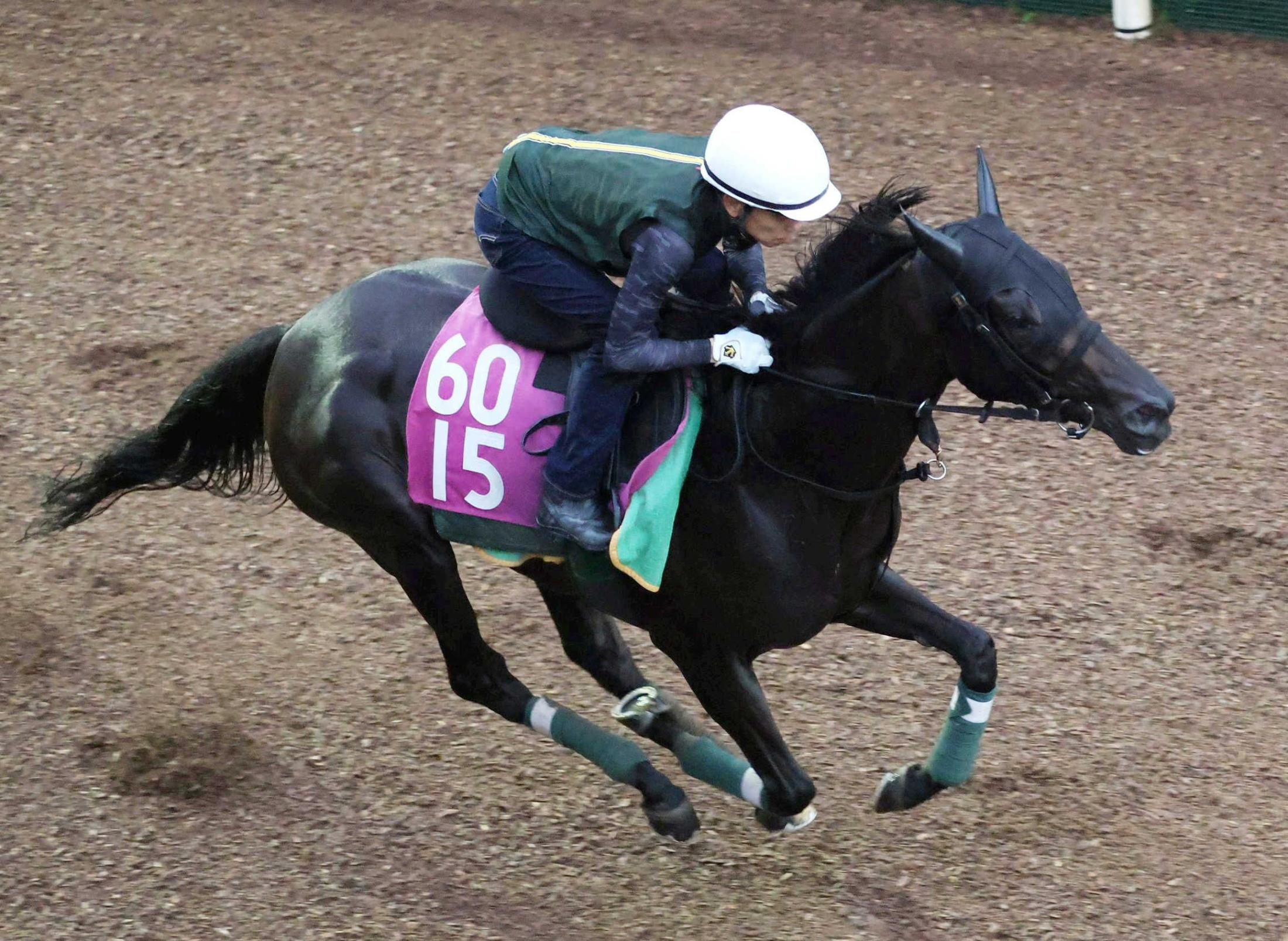 【ローズＳ】モンローウォーク　秋の主役へアピール抜群　軽快な脚取りに余裕たっぷり　上村師「持っている能力は相当」