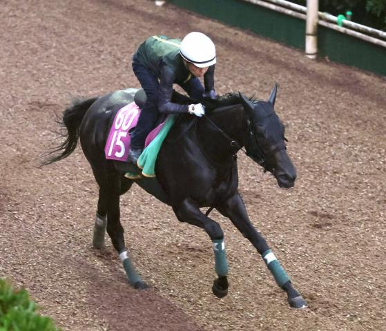 【ローズS】無傷3連勝中のモンローウォーク、体感超えの時計で能力アピール　上村調教師「なかなかいない馬」
