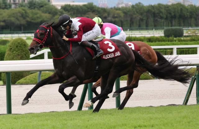 セントウルS覇者フリッカージャブは西村との新コンビでスプリンターズSへ