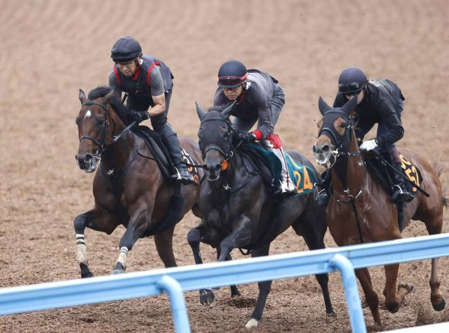 【セントライト記念】菊を知り尽くす武豊騎手から金言「菊花賞はすごくチャンスがあると思う」　ゴーイントゥスカイがG1初制覇へ始動