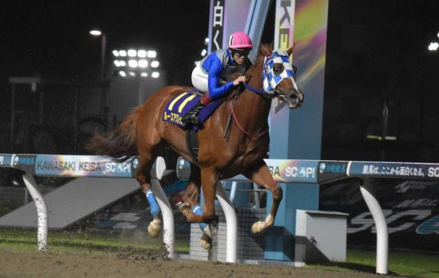 【川崎競馬　スポニチ杯若武者賞】ルースアグレッシブ　逃げて5馬身差圧勝　重賞初制覇　
