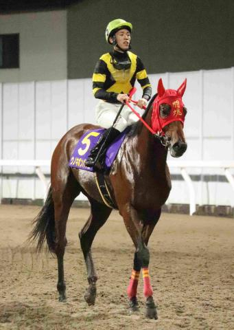 【川崎・若武者賞】1番人気のウノキボンバイエは2着　自分の形に持ち込めず室陽一朗騎手「悔しいです」