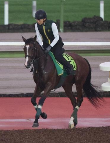 【阪神新馬戦】ルパドゥクール　熱心に乗り込み　上村師「水準並みはあります」