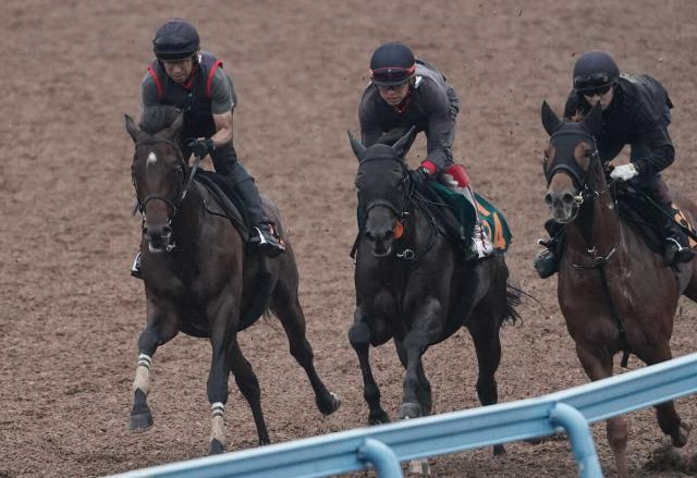 【セントライト記念】ゴーイントゥスカイ　3頭併せで圧巻の加速!　上原佑師「世代屈指の力はある」