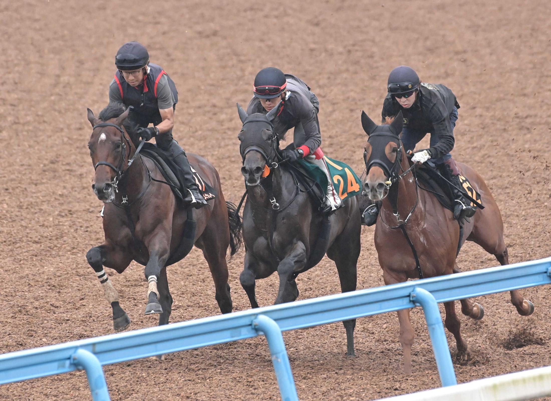 【セントライト記念】ゴーイントゥスカイ豪脚態勢　武豊進言　課題右回りもスムーズ！余力十分　菊見据えた動きに上原佑師納得