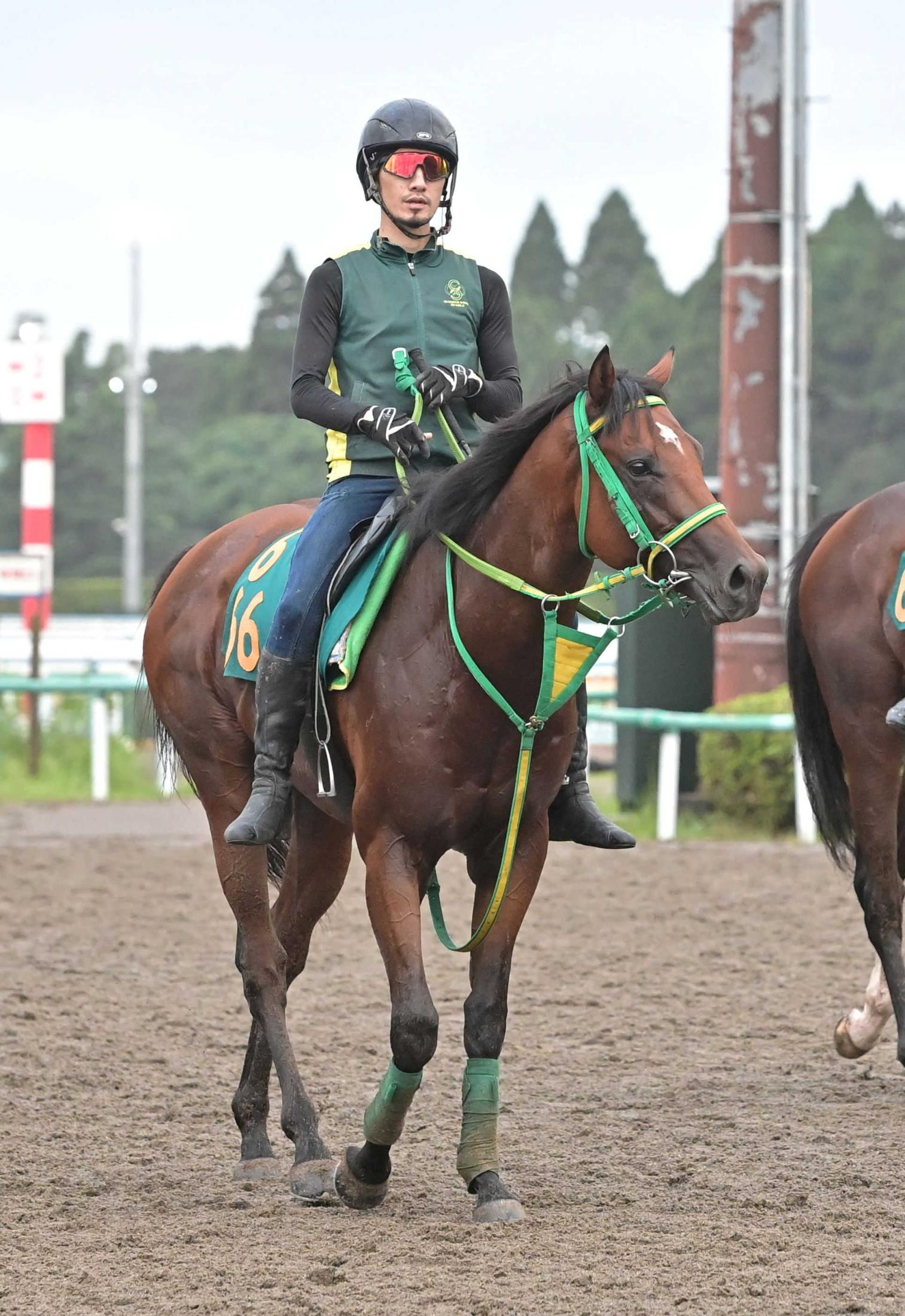 【新馬戦】サトノハクマイ　軽快な動き連発　斎藤誠師「優等生ですね」センスと高い素質に満足