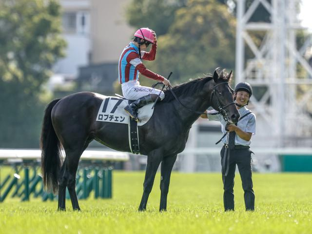 【神戸新聞杯想定馬・騎手】ロブチェン、コンジェスタスなど12頭