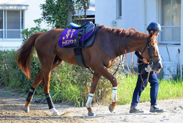 【注目馬動向】新潟記念5着の24年菊花賞馬アーバンシックは中東のバーレーンインターナショナルTに予備登録　今年G1に昇格