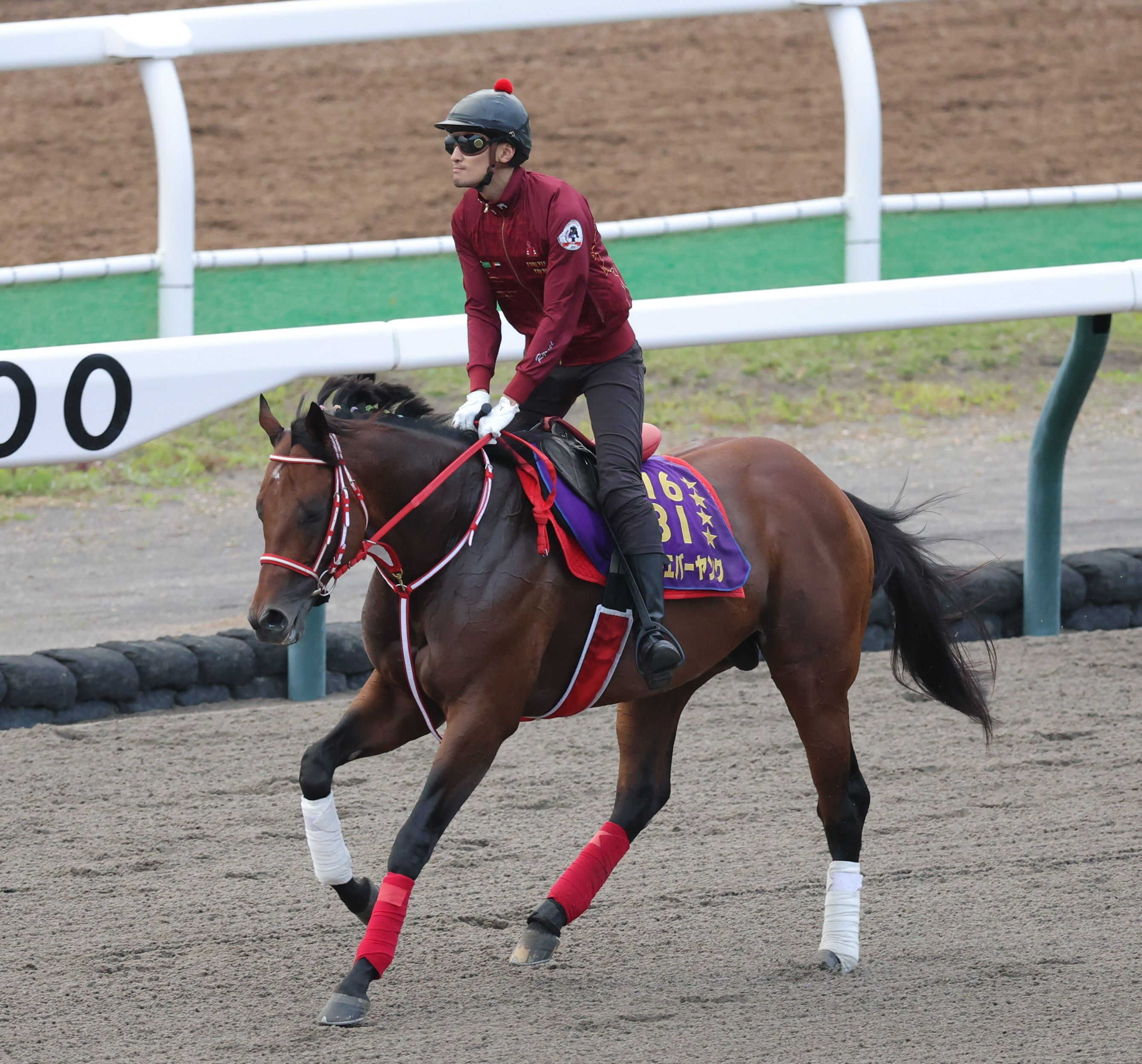 フォーエバーヤング＆メイショウタバルが２０位タイ　ワールドベストレースホースランキング