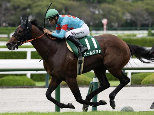 チャレンジCは3歳馬が好成績 血統ではキングカメハメハ系に注目