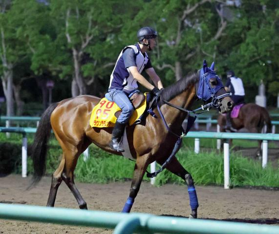 【12日の注目・中山11R】フォーエバーヤングの半妹がダート初挑戦　24年アルテミスS覇者ブラウンラチェット