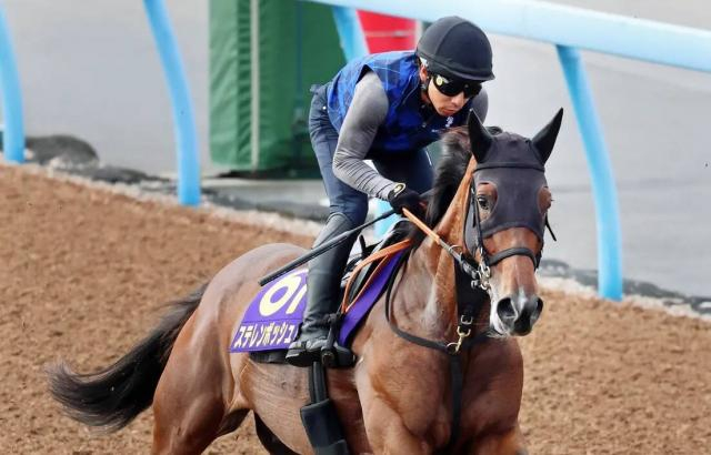 【注目馬動向】新潟記念で最下位に終わった24年の桜花賞馬ステレンボッシュはエリザベス女王杯へ