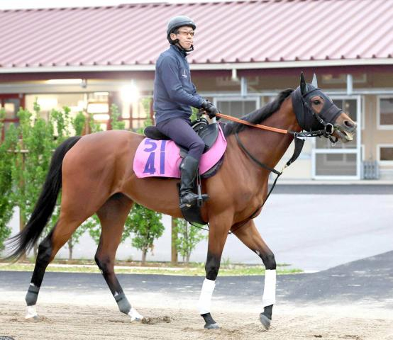 【注目馬動向】スイートピーSの勝ち馬カナルサンマルタンは秋華賞に挑戦へ
