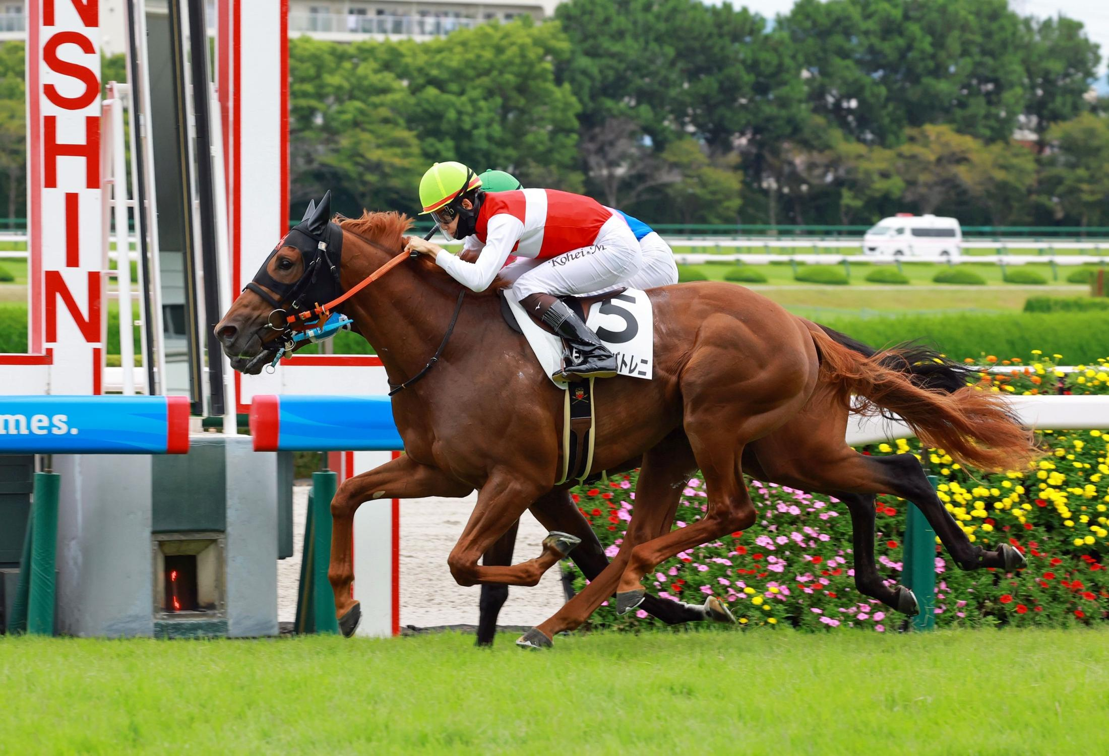 Ｇ１・２勝馬ショウナンパンドラの子ショウナンバトレニが初勝利　松山「着差以上に強い内容」　高野師「もちろん目指したい」とクラシックを目標に