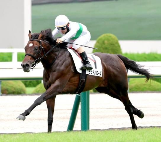 【阪神5R・2歳新馬】「僕がつかまっているだけで勝った」ブラッドバローズが逃げ切り　松若風馬騎手が高評価