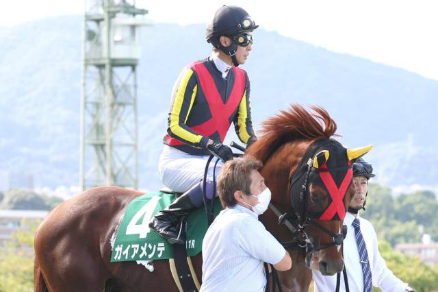 【チャレンジC】武豊騎手「いい形で直線に向けたけど…」12年ぶり7勝目ならず…ガイアメンテは6着