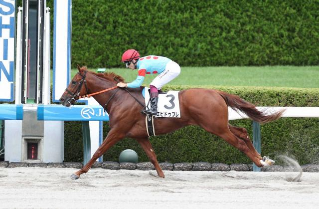 【阪神新馬戦】エピドゥブレ　2馬身半差快勝　高野師「今後も楽しみ」