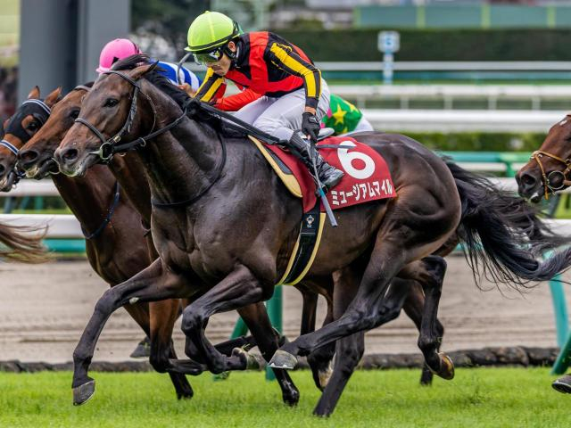 セントライト記念は末脚がポイント 前走日本ダービー組が近10回で5勝