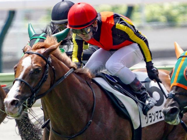 母は名牝グランアレグリア グランマエストロが初勝利なるか