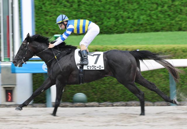 【阪神6R】超堅実派が「ラスト未勝利」で驚きの3馬身差V　「上のクラスでも」ルメール騎手高評価のビッグヒーロー
