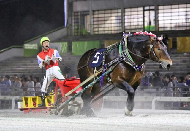 【ばんえい競馬　岩見沢記念】クリスタルコルドが圧勝　第二障害先頭クリアから突き放す