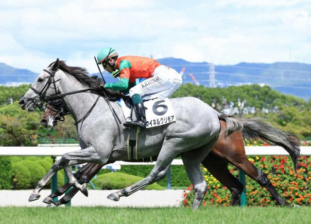 【阪神新馬戦】マイネルグリモア　G前競り勝った　国分恭「まだ奥があります」