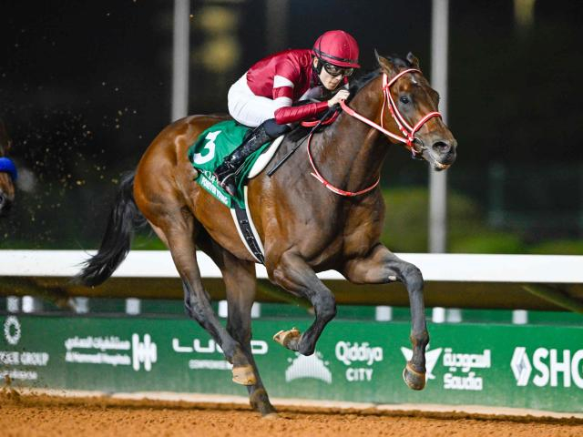 3日間開催で神戸新聞杯など3重賞 フォーエバーヤングの米遠征にも注目/今週の競馬界の見どころ