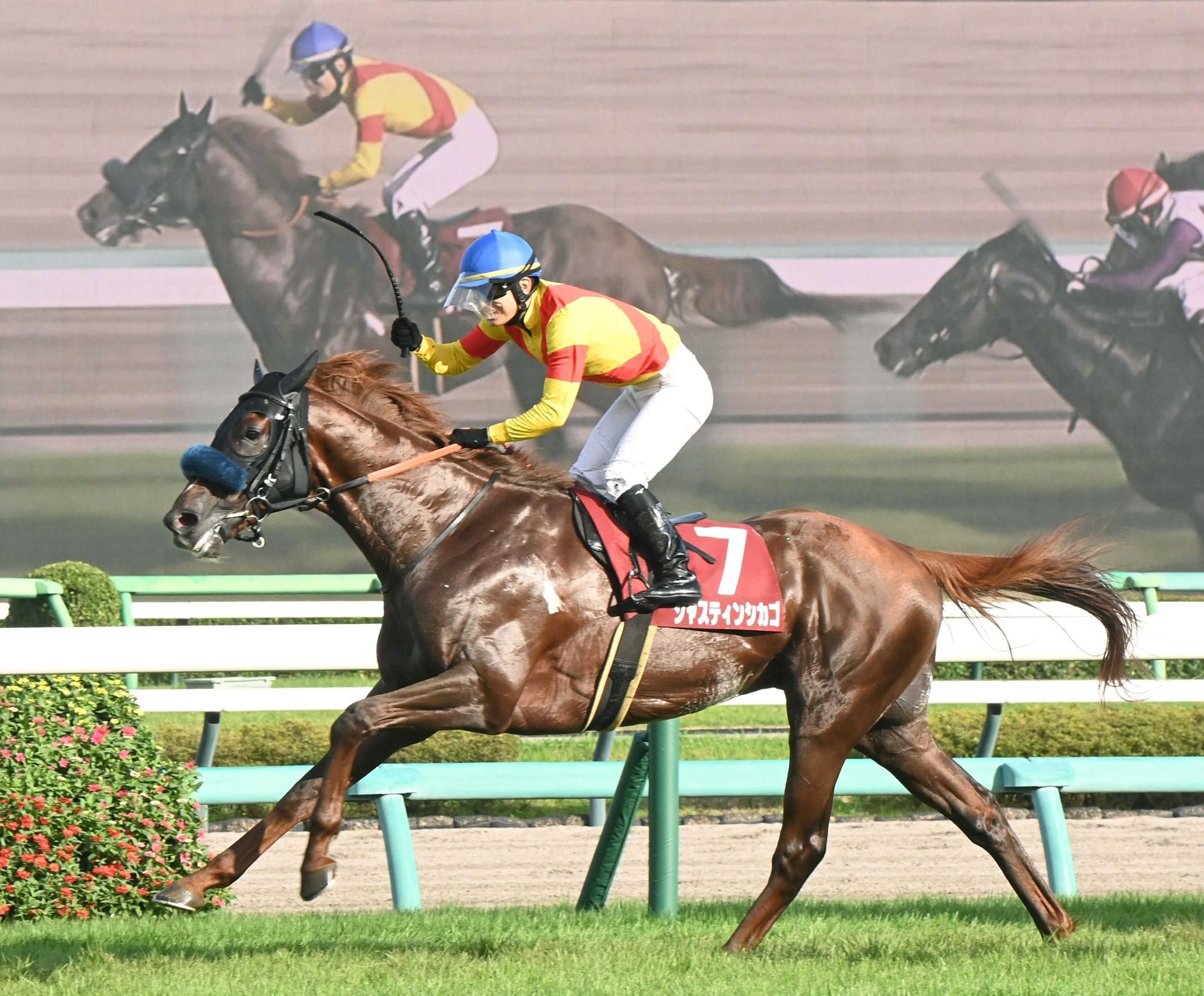 【セントライト記念】ジャスティンシカゴ　激走！重賞初制覇　好エスコートの原「折り合いついたのが一番の勝因」宮田師が菊花賞もコンビ継続明言