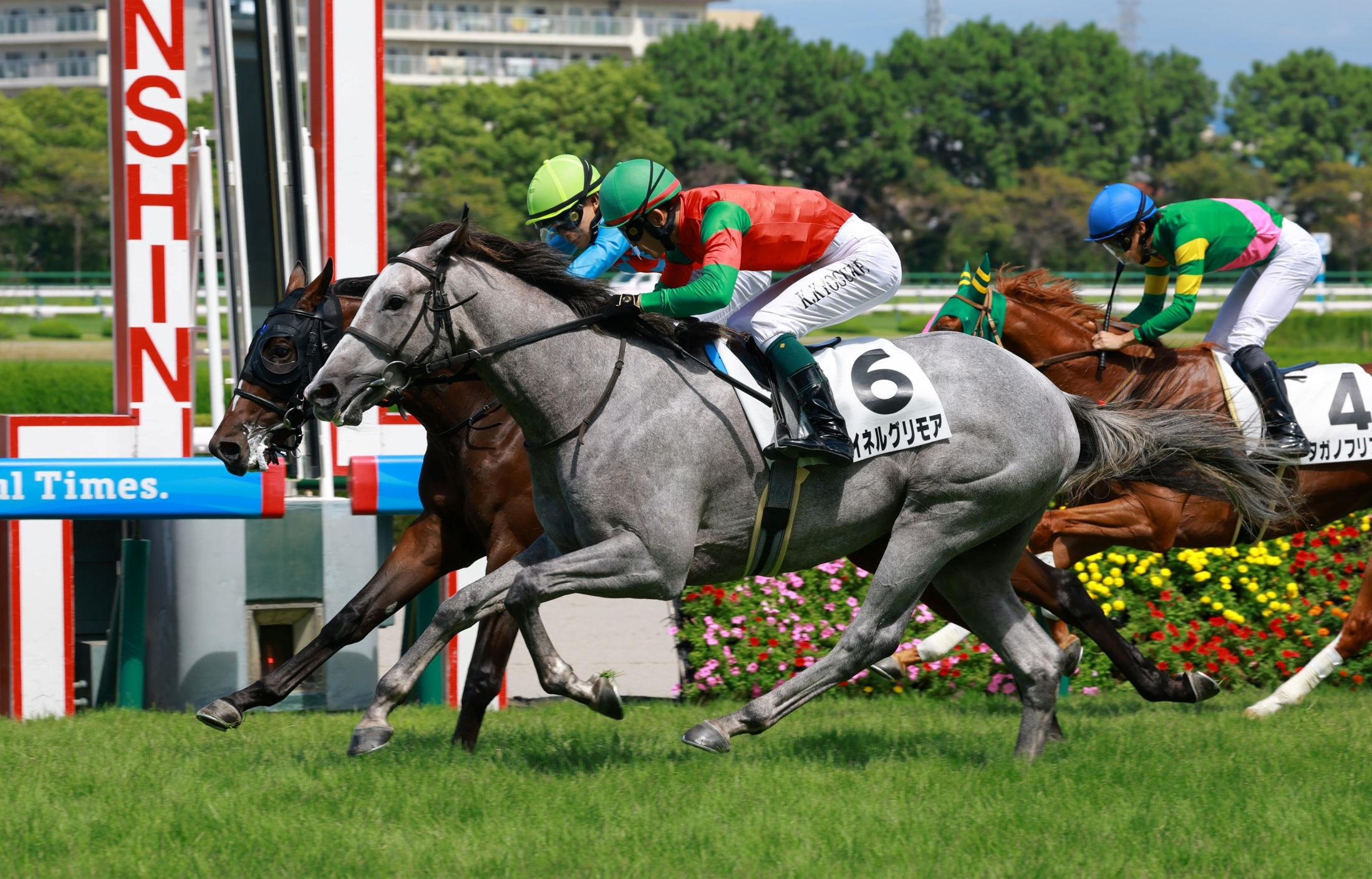 【新馬戦】マイネルグリモア　頭差制しデビューＶ　国分恭が期待「まだ奥がある」随所に父・ゴールドシップらしさ