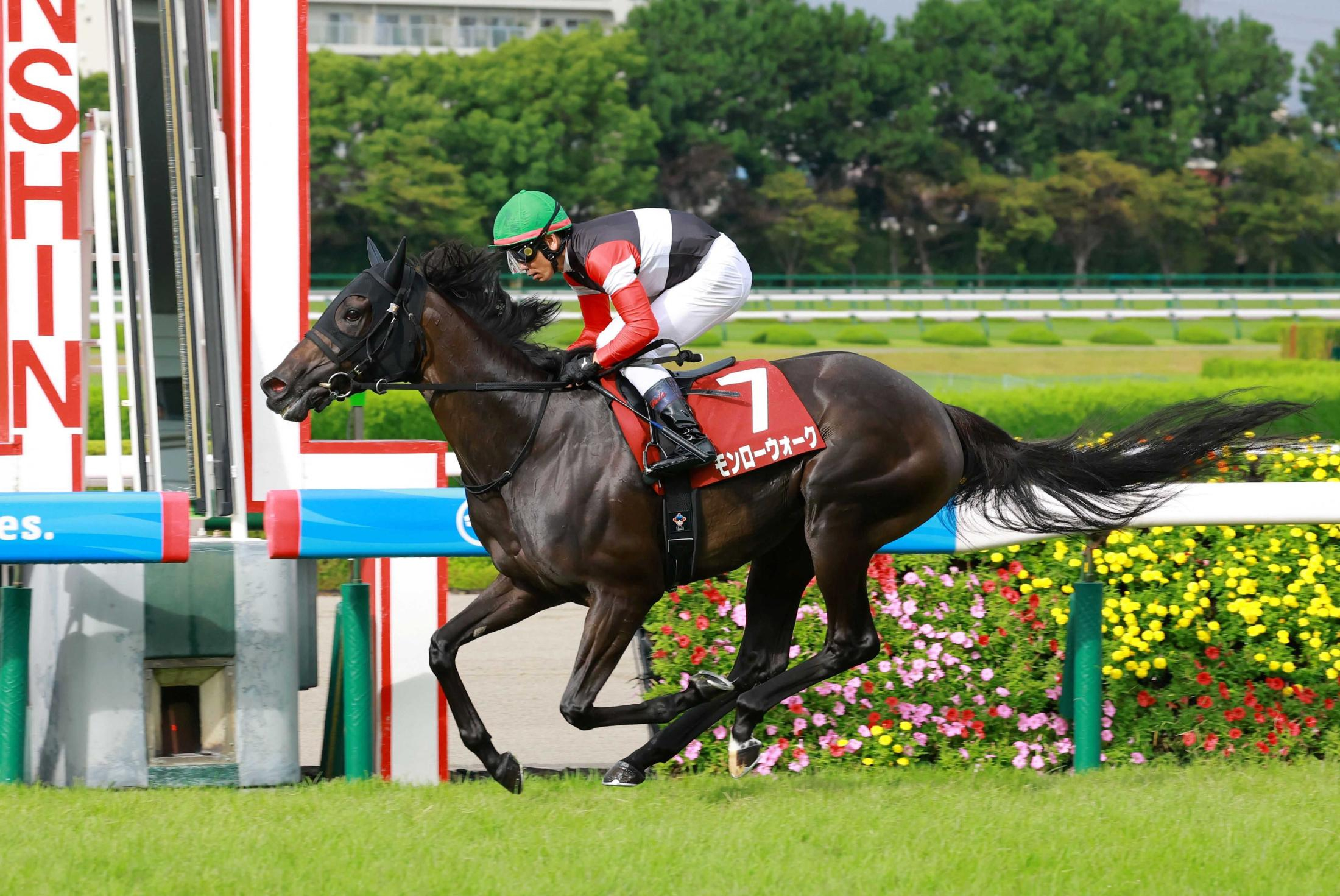 【ローズＳ】モンローウォーク　３馬身差圧巻！無傷の４連勝　戸崎圭が能力の高さたたえる「いいセンス」いざ秋華賞へ