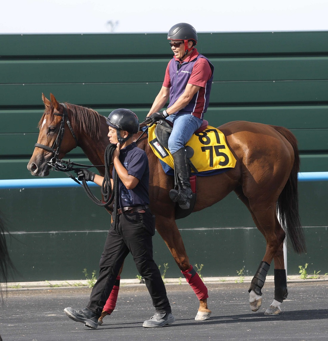 キーンランドＣ覇者サウンドモリアーナは３戦ぶりに吉田隼とスプリンターズＳでＧ１初制覇を狙う
