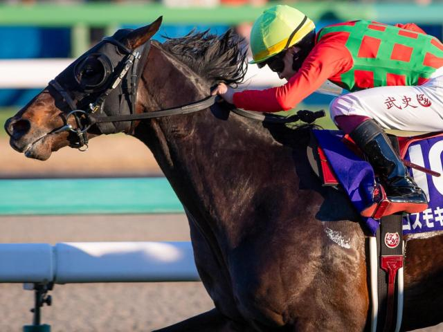 【オールカマー】「中山の鬼」コスモキュランダ 2年半ぶりの重賞2勝目なるか