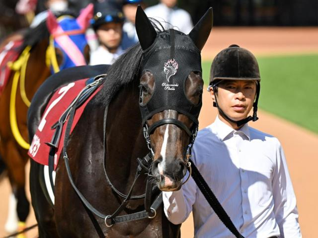 【神戸新聞杯】セレクト5.9億円のエムズビギン 史上最高価格のJRA重賞勝ち馬となるか