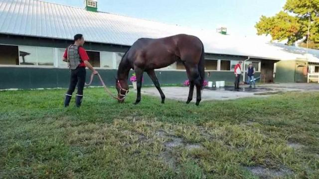 【米ジョッキークラブゴールドC】フォーエバーヤング　心身とも完成形「能力を見せつけたい」
