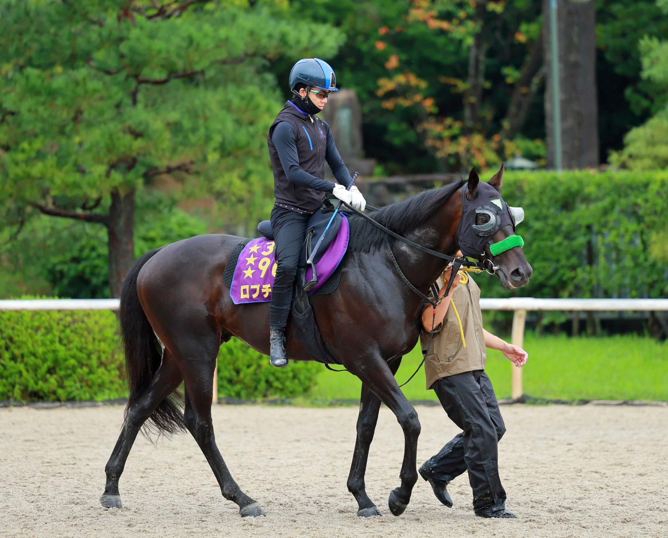 【神戸新聞杯】ロブチェン　史上９頭目の３冠へ　２１世紀３冠馬が全てＶの王道路線　松山も高評価「こんな馬は初めて」