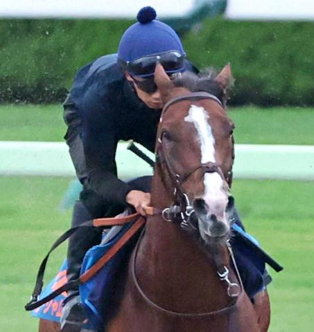 【注目馬動向】札幌記念4着のローシャムパークは中東のバーレーンインターナショナルTに登録　4か国目、6度目の海外遠征へ