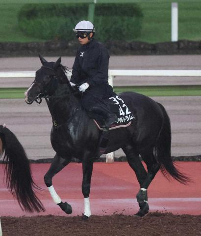 【神戸新聞杯】アルトラムス成長　野中師「大人の体つきになった」