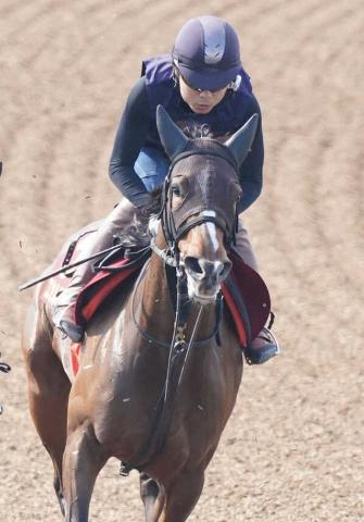 【オールカマー】エセルフリーダ、3連勝に期待　武藤師「一番得意な舞台」